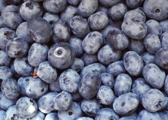 Healthy and delicious organic blueberries at the market