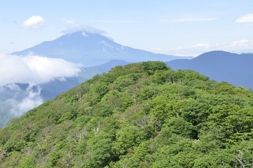 夏の甲相国境尾根と富士山