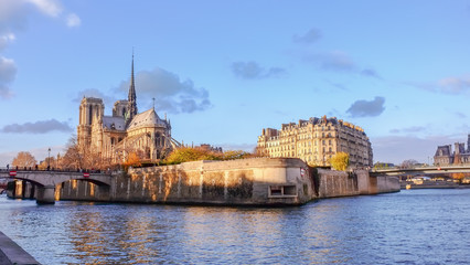 Fototapeta premium Notre-dame