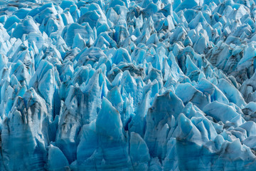 Grey Glacier