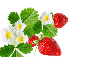 sweet fresh strawberry