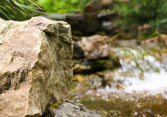 Botanic garden flora flower waterfall leaves