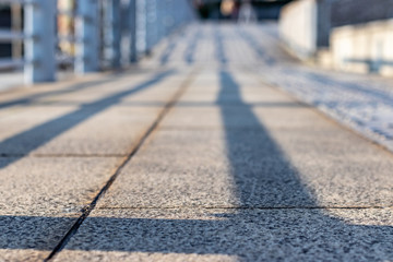 【道のローアングルシリーズ（横浜編）】海沿いの道