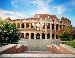 Ruins of the Colosseum