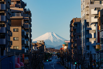 東久留米富士見テラスから見える富士山