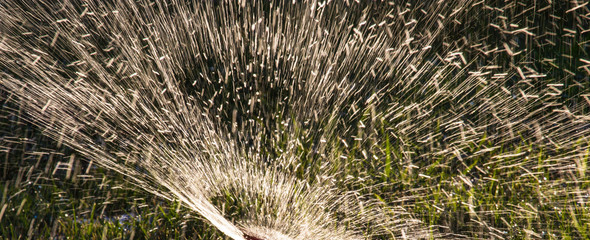 Splashing water to water the lawn as a background