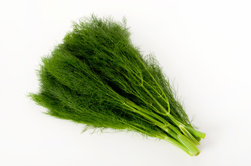 フェンネル（ウイキョウ）