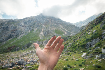 Naklejka premium The mountains. Height. beauty