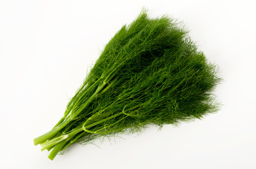 フェンネル（ウイキョウ）