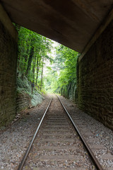 Fototapeta na wymiar The railroad in a forest ,Germany