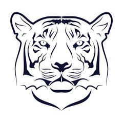 Tiger_13