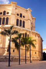 Naklejka premium Cathedral Catedral de la Encarnacon, palm trees and square in the rays of the setting sun. Malaga, Spain. Costa del Sol, Andalusia