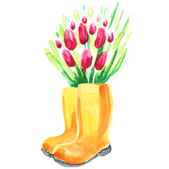 Spring Tulip bunch