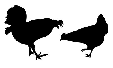 chcikens, roosters , silhouette vector