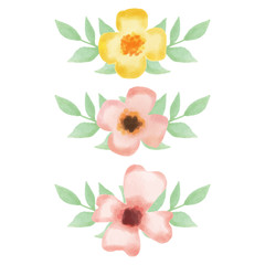 vector illustration flower in watercolor style