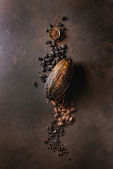 Variety of fresh and dry cocoa beans and cocoa pod with chopped dark chocolate and cocoa powder...