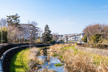 東久留米 黒目川の風景