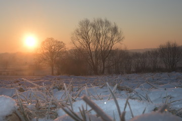 sonnenaufgang
