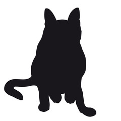Gatto silhouette