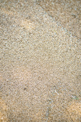 Texture of grains and golden seeds. Wheat and rye as food. Stock background, photo