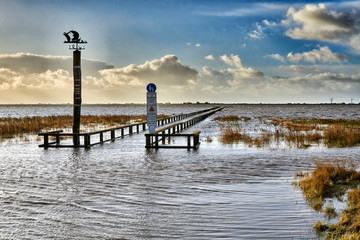 flooding