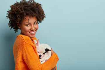 Pleased smiling dark skinned young woman holds small pedigree dog in hands, embraces favourite...