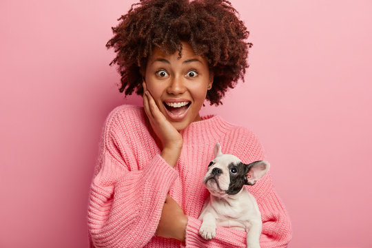 Emotional happy surprised woman holds puppy french bulldog, have walk together and go shopping, amazed to have discounts on dogs food in supermarket, isolated over pink background. Pets concept