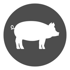 Pig icon. Vector.