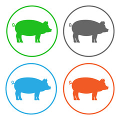 Swine. Icon set. Vector.