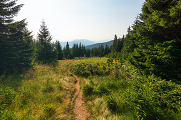 Journey through the mountain ranges and tops of the Ukrainian Carpathians, a tourist with a tent in a beautiful summer weather with fantastic sunrises and sunsets.