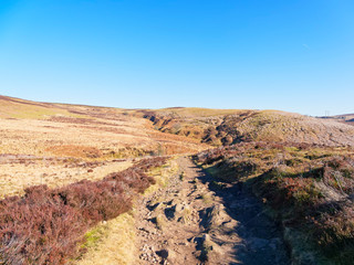 Fototapeta na wymiar Rocky footpath down a slope on Derwent Moor in Dderbyshire