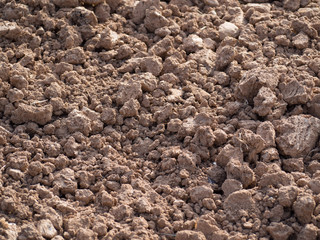 Natural Land Texture