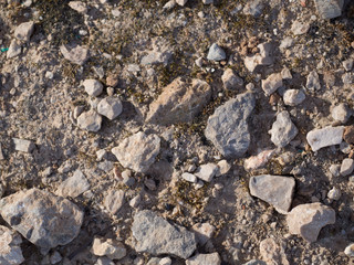 Multiple rocks texture