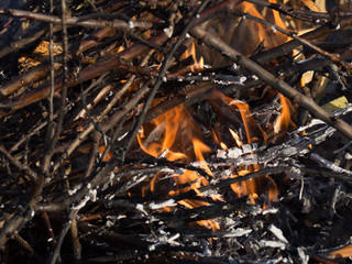 Burning dry twigs