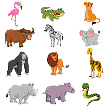 Set of african animals cartoon