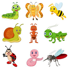 Set of cartoon insects