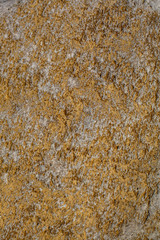 Texture of stone