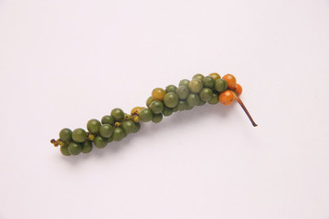 コショウの果実