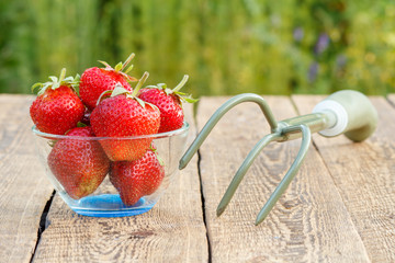 Red ripe strawberries in glass bowl and rake on old wooden boards.