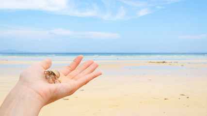 mano con hermit crab oceano vacanza snorkeling