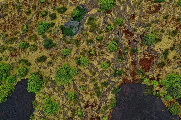 Hawaii-Big Island Lava