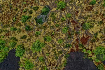 Hawaii-Big Island Lava