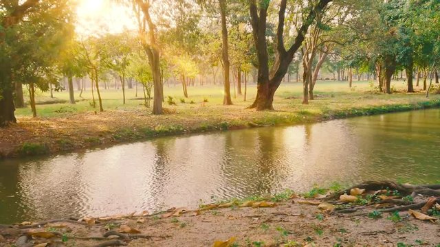 Public park with trees , river and sky background in city.Lake with green park and sun light.Nature scene with flare in summer HD video