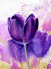 Tulips in watercolor. Spring Summer	