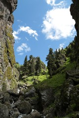 andscape village nature. artvin /savsat/TURKEY