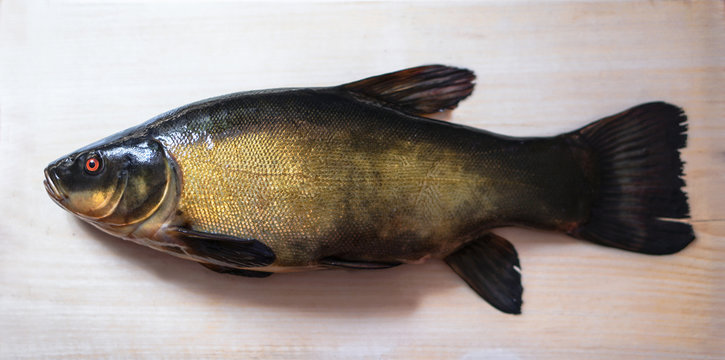 Coloring black lyn fish on a light board. Cooking food in a restaurant with fresh meat. Stock background, photo