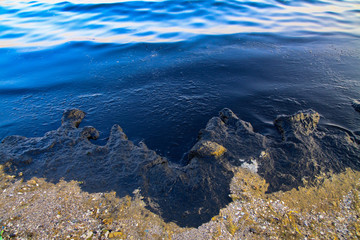 Emissions to the sea oil industry waste. Environmental pollution. Throwing oils and toxic chemical elements in the fauna of the ocean