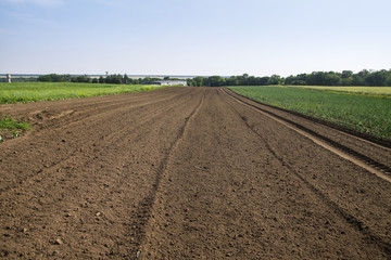 Landscape with agricultural land, in slope, recently plowed and prepared for the crop, with a plantation. summer field. Stock background, photo