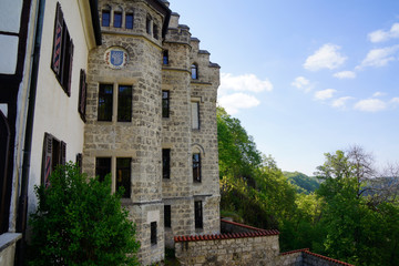 Fototapeta na wymiar detail of lichtenstein castle hillside