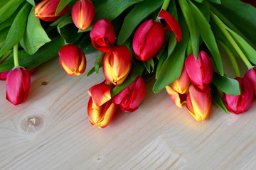 Naklejka na ściany i meble Fresh cut red, orange and yellow spring tulips with vibrant green leaves on the natural pale wooden surface. Copy space at the bottom of the image.
